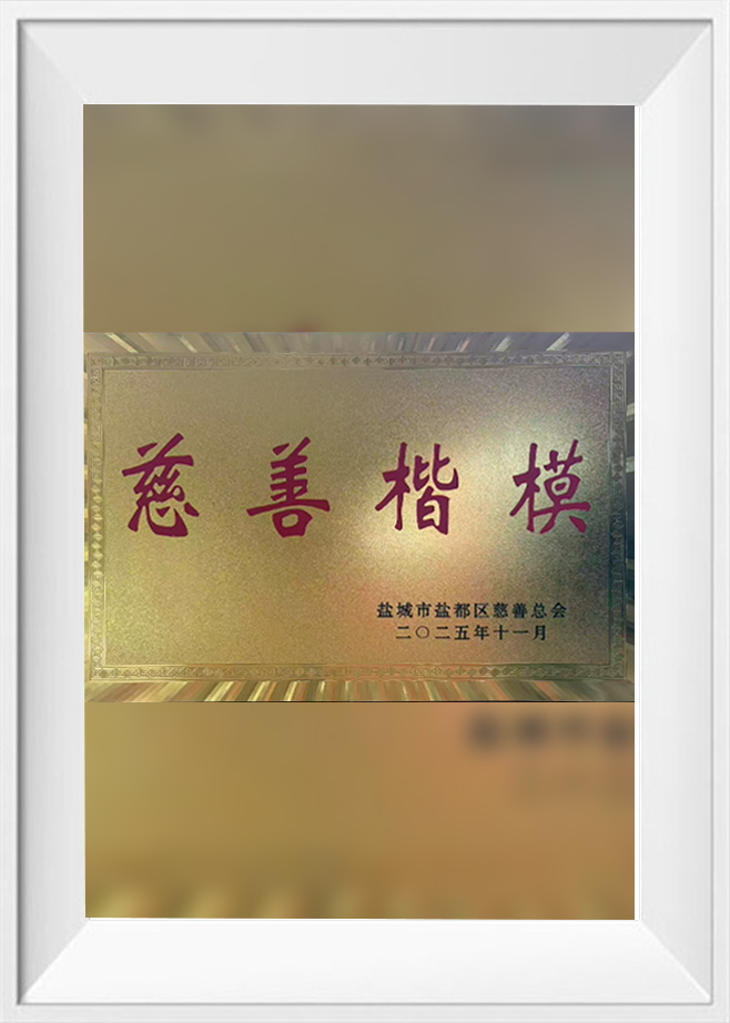 慈善楷模