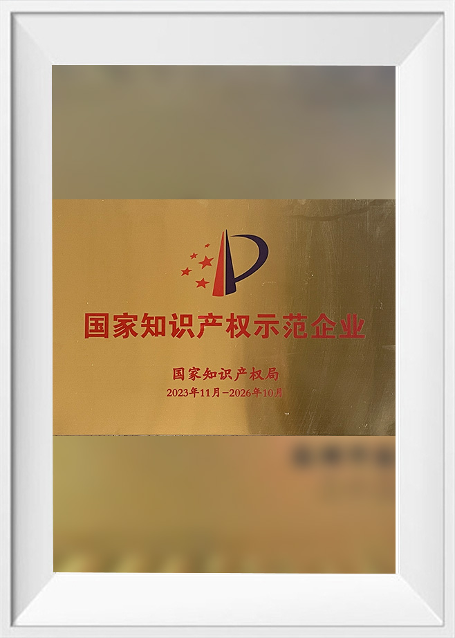 国家知识产权示范企业
